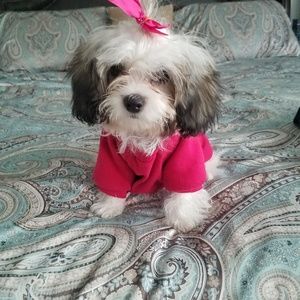 Meet your Posher, Jacqueline